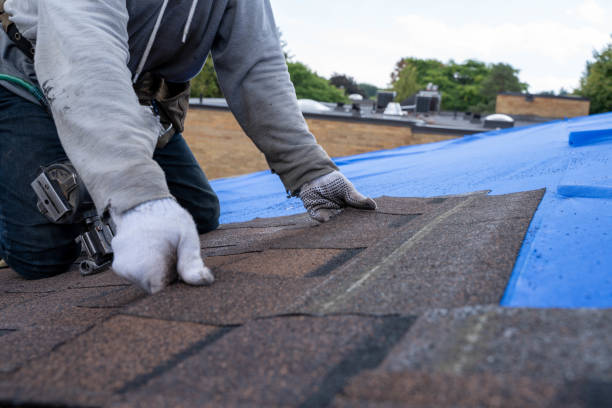 Best Local Roofing Companies  in East Camden, AR