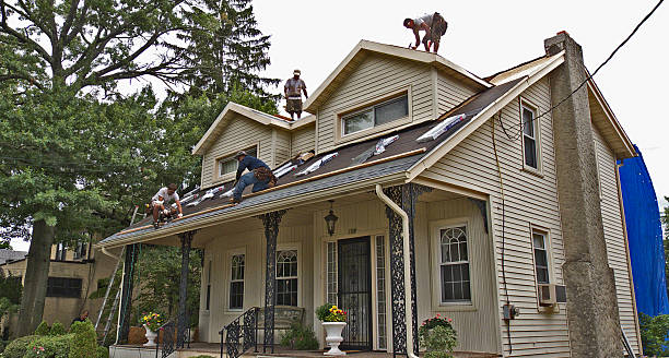 Best Roof Gutter Cleaning  in East Camden, AR